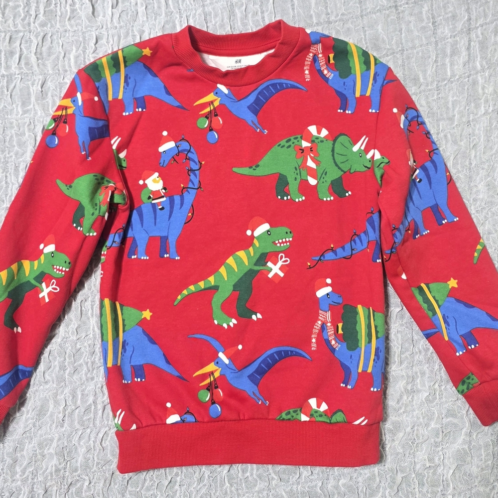 H&M Red Dinosaur Print Kids Sweatshirt